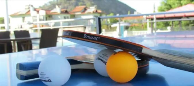 Dalyan Palmiye Resort - 17