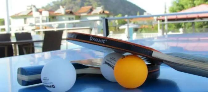 Dalyan Palmiye Resort - 18