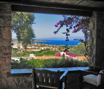 Antik Zeytin & Art - 22