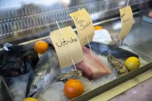 Villaggio Turistico Internazionale Eden, Сан-Феличе-дель-Бенако