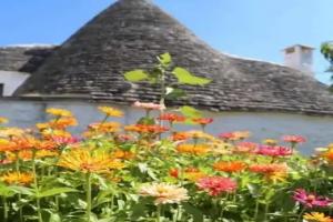 Мини-отель «Trulli Del Bosco», Альберобелло