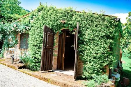 Podere Sette Piagge - 70