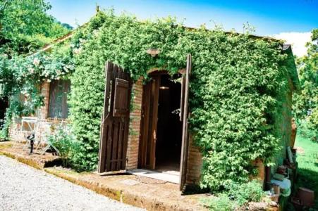 Podere Sette Piagge - 60