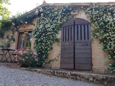 Podere Sette Piagge - 56