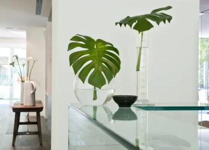 Globus, Sure Hotel Collection by Best Western - 14