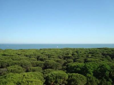 Globus, Sure Hotel Collection by Best Western - 29