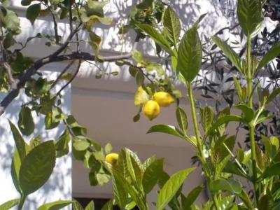 Villaggio San Matteo Resort - 29