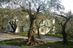 Villaggio Rta Borgoverde, Империя