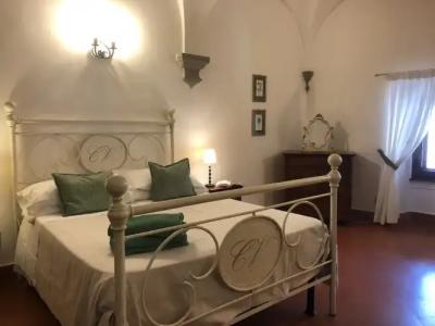 Castello Vicchiomaggio - 14