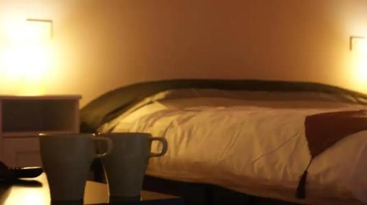 b&b Vegan Inn Airport - Adult Only - 7