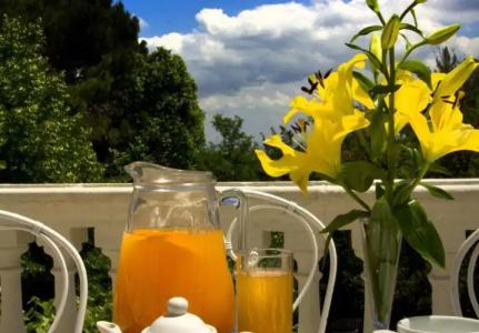 Alexander Palme - 50