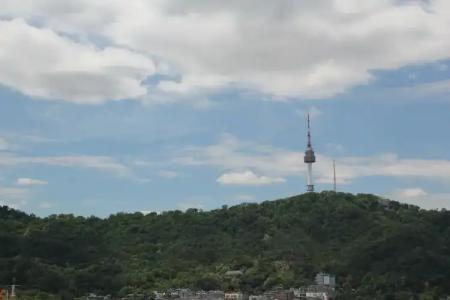 Myeongdong Merlin - 84
