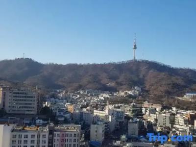 Myeongdong Merlin - 72