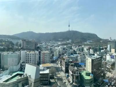 Myeongdong Merlin - 78
