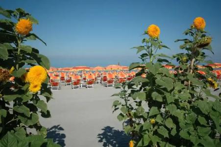 Mediterraneo Palace - 21