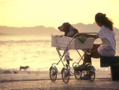 Residence Le Terrazze - 22