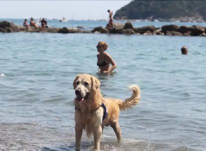 Baba Residences - 20