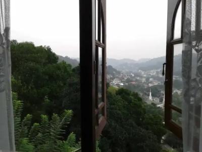 Kandy View Garden - 15