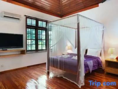 Sweet Cinnamon Kandy - 79