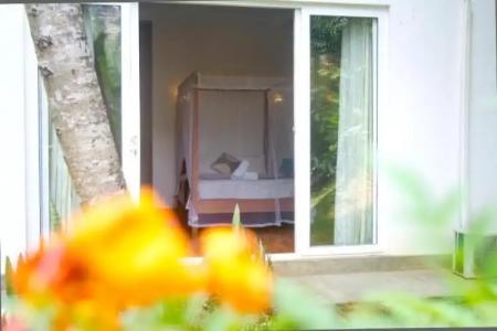 Sweet Cinnamon Kandy - 64