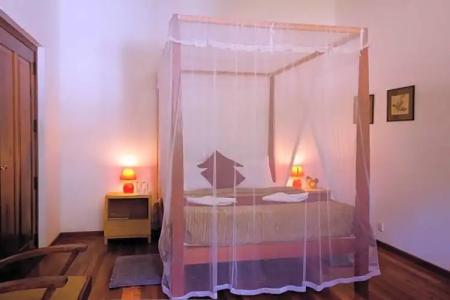 Sweet Cinnamon Kandy - 55