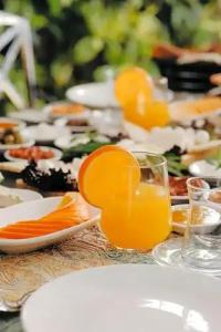 Teddy Alaçatı - 11