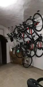 Palazzo Renieri - 3stelle S - 20