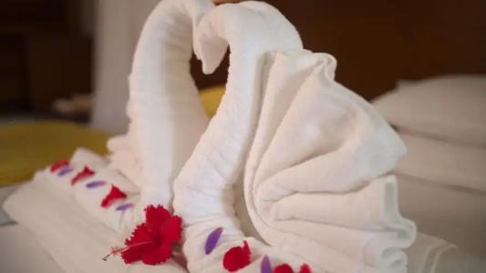 Lanka Princess All Inclusive - 56