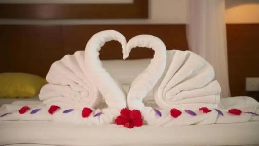 Lanka Princess All Inclusive - 83