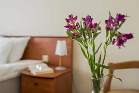 Best Baltic Kaunas - 26