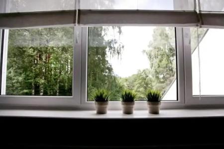 NykščIo Namai & Spa - 61