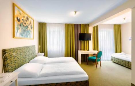 Alpha Hermann von Salza - 22