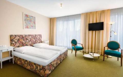 Alpha Hermann von Salza - 29