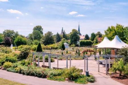 Alpha Hermann von Salza - 13