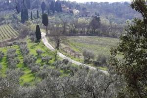 La Luna, Импрунета