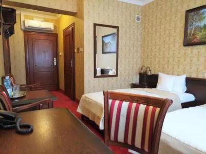 Sarmata Zespół Dworski - 87