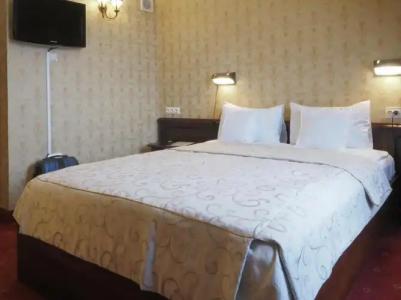 Sarmata Zespół Dworski - 44