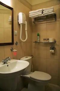 Sarmata Zespół Dworski - 124