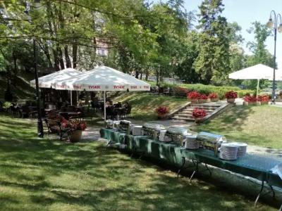 Sarmata Zespół Dworski - 21