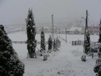 Rezydencja Villa Nova - 9