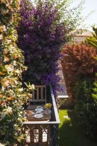 Elia Cunda by Ortunc - 55