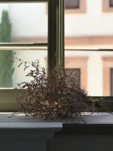 Elia Cunda by Ortunc - 66