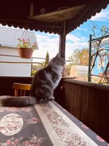 Витальница - 122