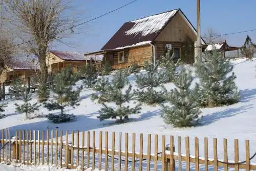 Летучая Рыба - 0