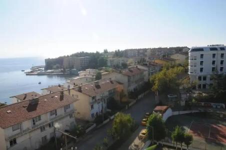 Paradise Island - 123