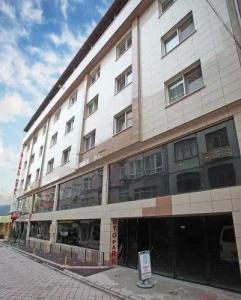 Yildizoglu - 0