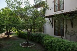 Mr. Dim Exclusive Apart Hotel, Гечек