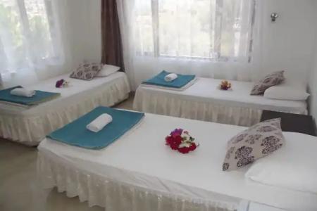 Santosa Pension - 39