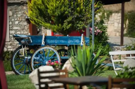 Aral Tatil Ciftligi - 3