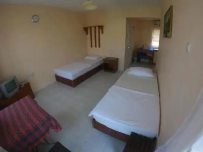 Dream Apart Bitez - 3